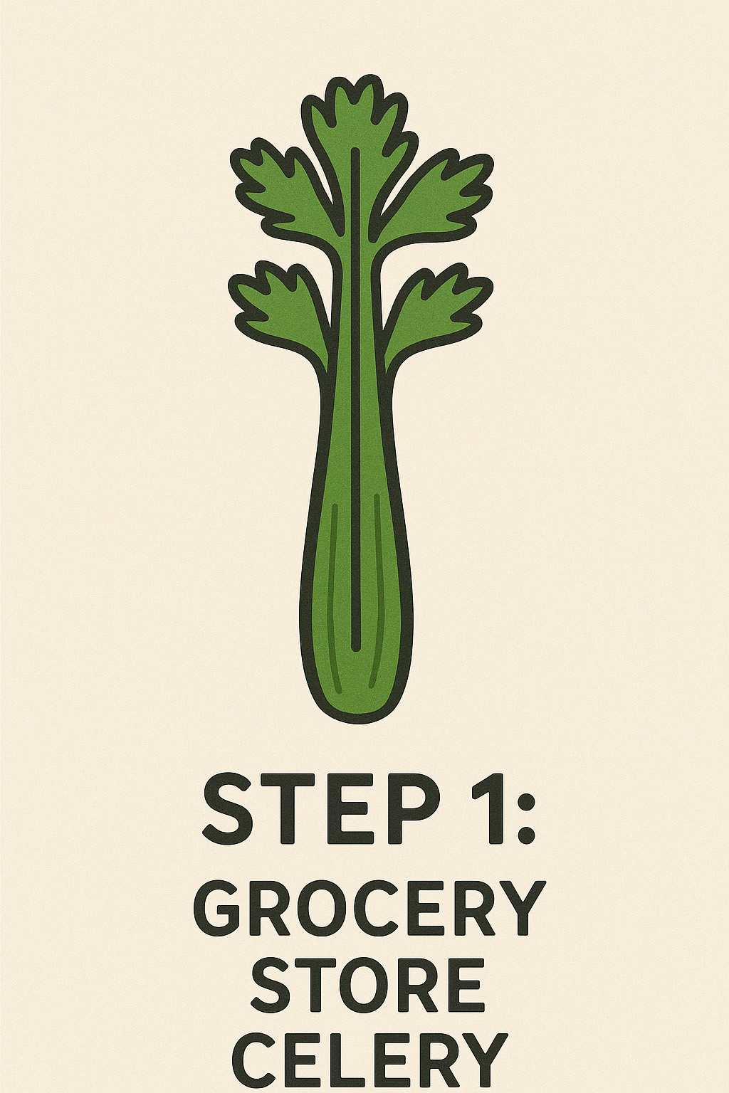 Step 1 - Regrowing Grocery Store Celery Step 1 - Regrowing Grocery Store Celery